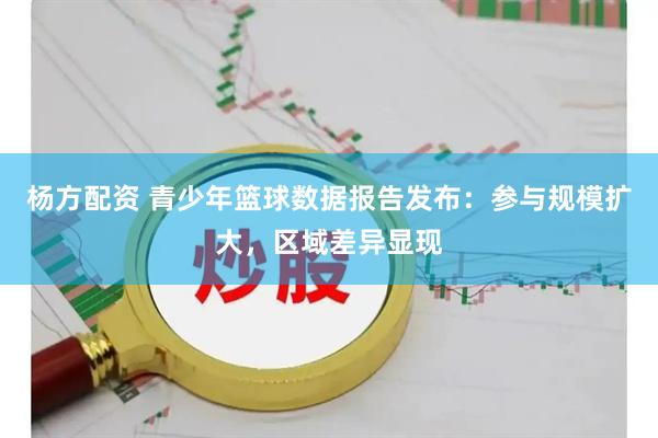 杨方配资 青少年篮球数据报告发布：参与规模扩大，区域差异显现
