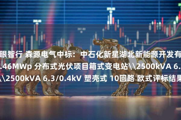 慧眼智行 森源电气中标：中石化新星湖北新能源开发有限公司中韩石化 10.46MWp 分布式光伏项目箱式变电站\2500kVA 6.3/0.4kV 塑壳式 10回路 欧式评标结果公示